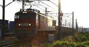 朝日をバックにして、大垣市の美濃赤坂駅へと疾走する石灰石輸送列車。＝岐阜市今嶺