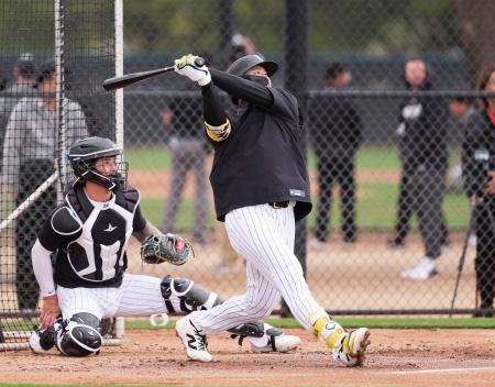 　実戦形式の練習をするホワイトソックス・村上＝グレンデール（共同）