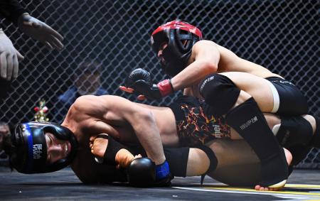 　ＭＭＡ甲子園の試合の様子＝２０２５年８月、東京都内（ＭＭＡ甲子園提供）