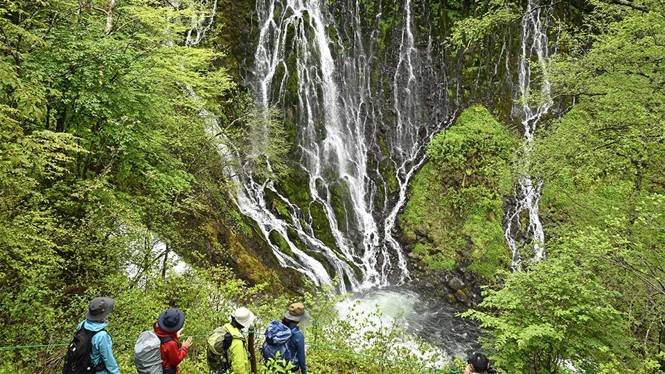 新緑に囲まれた布引滝＝２０日午前９時５０分、高山市丹生川町、乗鞍山麓五色ケ原の森