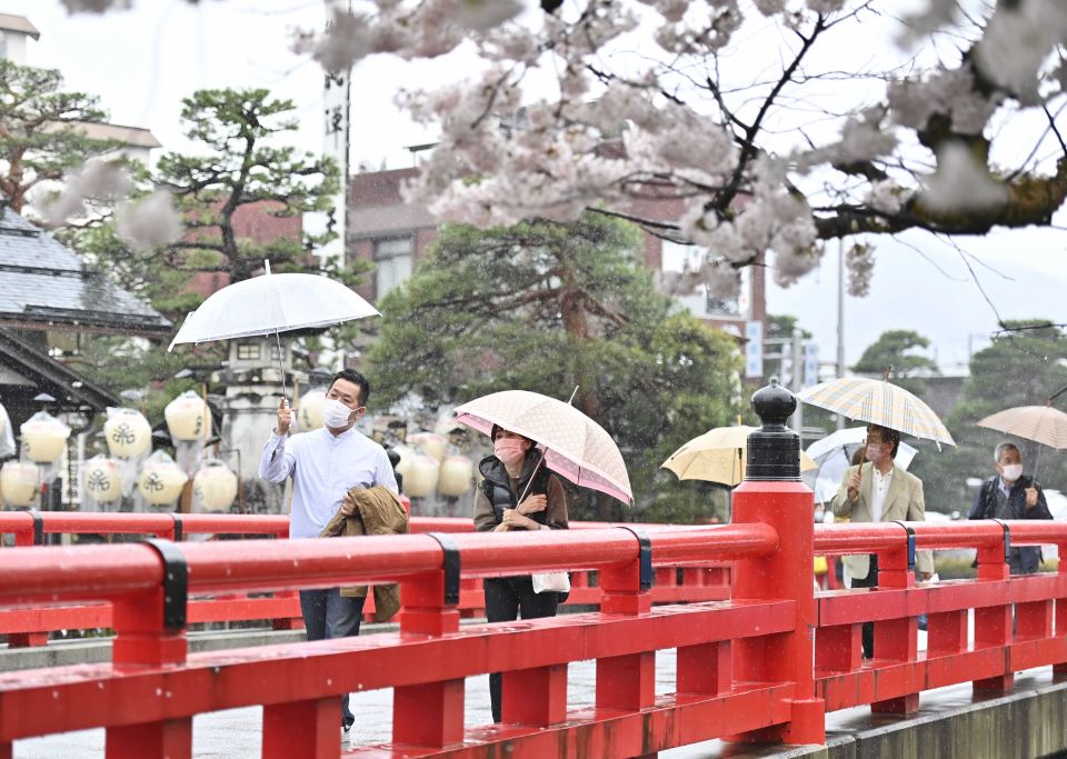 雨になった春の高山祭で、傘を差して中橋を渡る人たち＝岐阜県高山市内