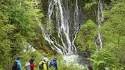 新緑に囲まれた布引滝＝２０日午前９時５０分、高山市丹生川町、乗鞍山麓五色ケ原の森