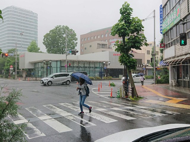 雨の中、足早に横断歩道を渡る女性＝４日午前８時５５分、岐阜市内