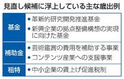 　見直し候補に浮上している主な歳出例