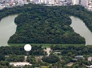 　仁徳天皇陵古墳（奥）近くの大仙公園から浮かび上がったガス気球＝３日午後、堺市（共同通信社ヘリから）