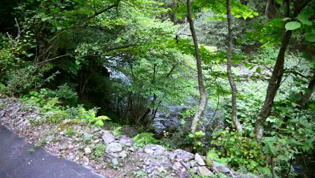 　女性の遺体が遺棄された川岸付近＝１４日午後４時４９分、岐阜県本巣市