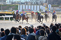 馬券の売り上げが伸びて、活気を取り戻した笠松競馬。年末のレースではスタンド前もファンが埋まり、競走馬に熱い声援を送った＝2015年12月