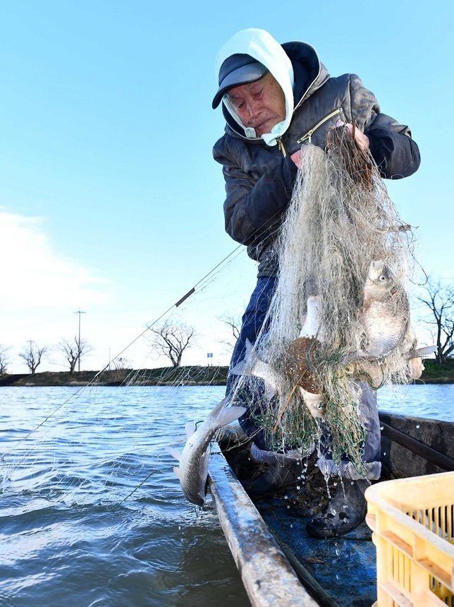 漁の解禁で、水揚げされた寒ブナ＝２５日午前８時１５分、海津市海津町沼新田