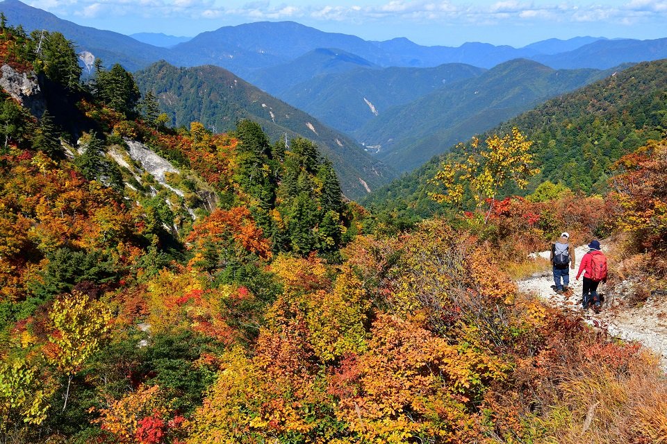 色づいた登山道を歩く人々＝１７日午後