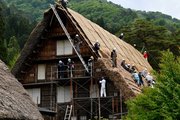 ５年ぶりに結で行われたかやぶき屋根のふき替え＝１３日午後、大野郡白川村荻町、明善寺庫裏