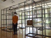情報科学芸術大学院大学の教授らが手掛け、約１０年ぶりに利用できるようになった探検ランド＝揖斐川町春日美束、春日森の文化博物館