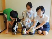 自宅で猫を飼う女性（中央）と２匹をモデルにした招き猫＝恵那市明智町、明知製陶