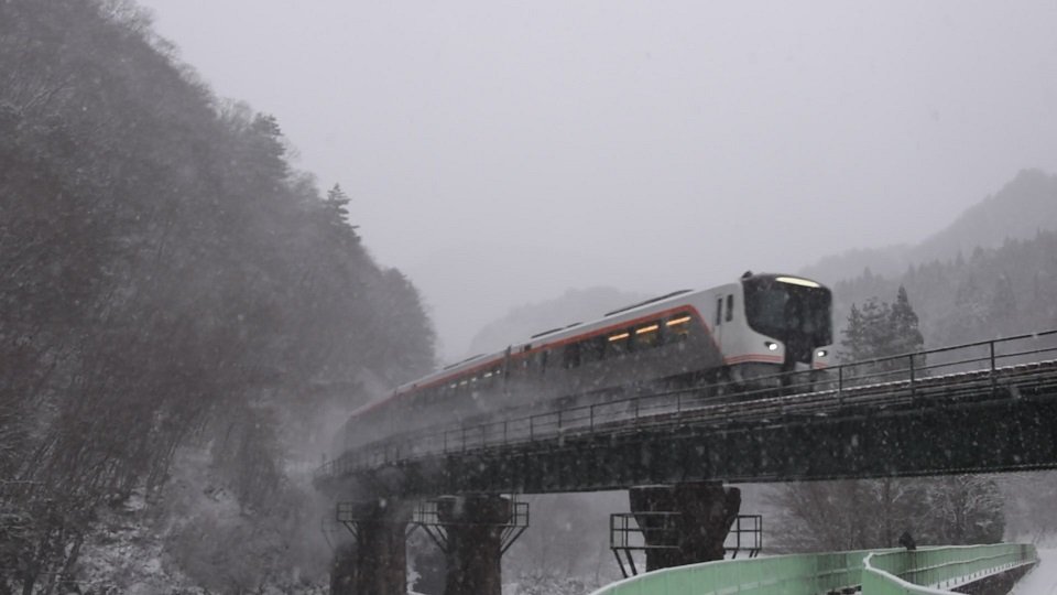 雪の中を走る「特急ひだ」＝２４日午後、下呂市小坂町門坂