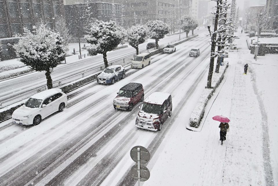 雪が積もった金華橋通り＝１７日午前８時２２分、岐阜市美江寺町
