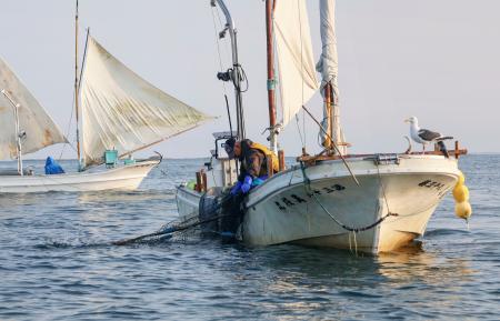 　ホッカイエビ漁が始まり、打瀬船で網を引く漁師＝３０日早朝、北海道別海町の野付湾
