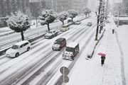 雪が積もった金華橋通り＝１７日午前８時２２分、岐阜市美江寺町
