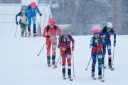 　山岳スキー女子スプリント予選で、力走する選手たち＝１９日、イタリア・ボルミオ（共同）