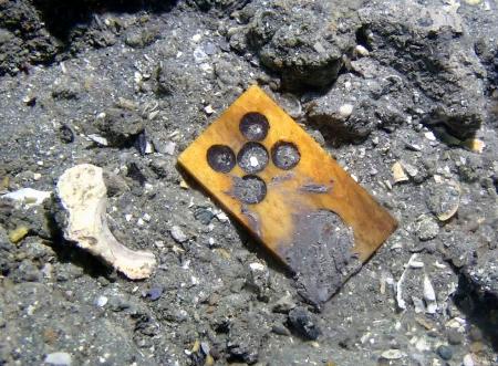 　鎌倉時代の元寇船から見つかった札のような物＝２１日、長崎県松浦市の鷹島沖（松浦市教育委員会提供）