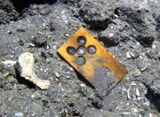 　鎌倉時代の元寇船から見つかった札のような物＝２１日、長崎県松浦市の鷹島沖（松浦市教育委員会提供）