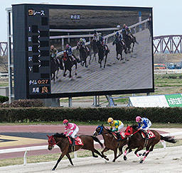 「清流ビジョン」が楽しめる笠松競馬