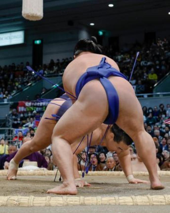 　豊昇龍（奥）がはたき込みで藤ノ川に敗れる＝エディオンアリーナ大阪