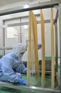 製麺された米粉パスタをラックにかける従業員
