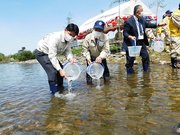 稚鮎を放流する（左から）柴橋正直市長と玉田和浩組合長＝岐阜市長良、長良川右岸
